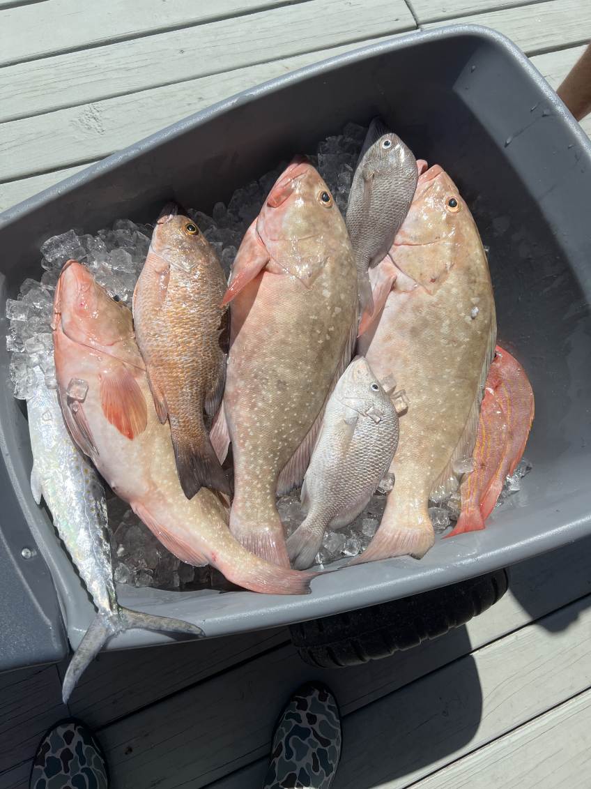 Fishing in Sarasota, Florida