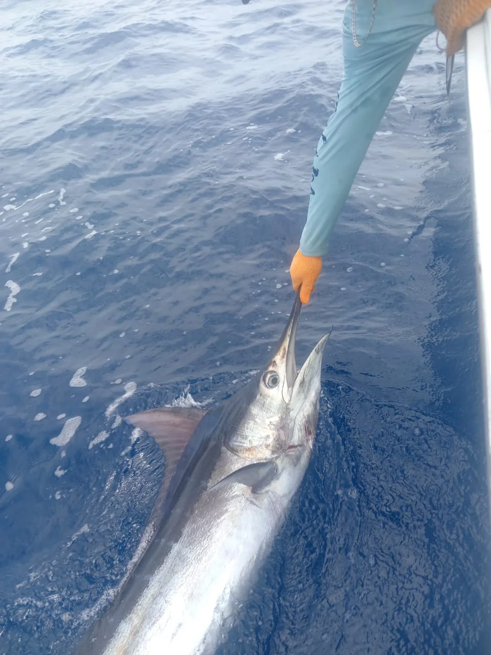 Fishing in Quepos, Costa Rica