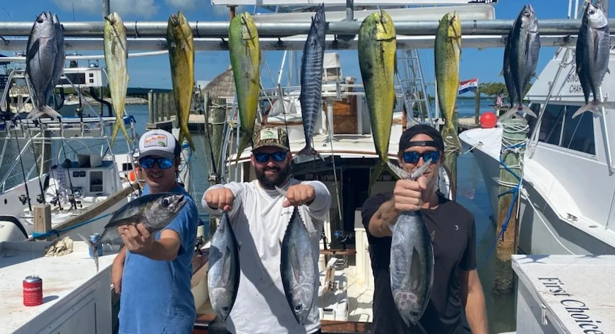 Blackfin Tuna, Lobster, Mahi Mahi / Dorado fishing in Islamorada, Florida