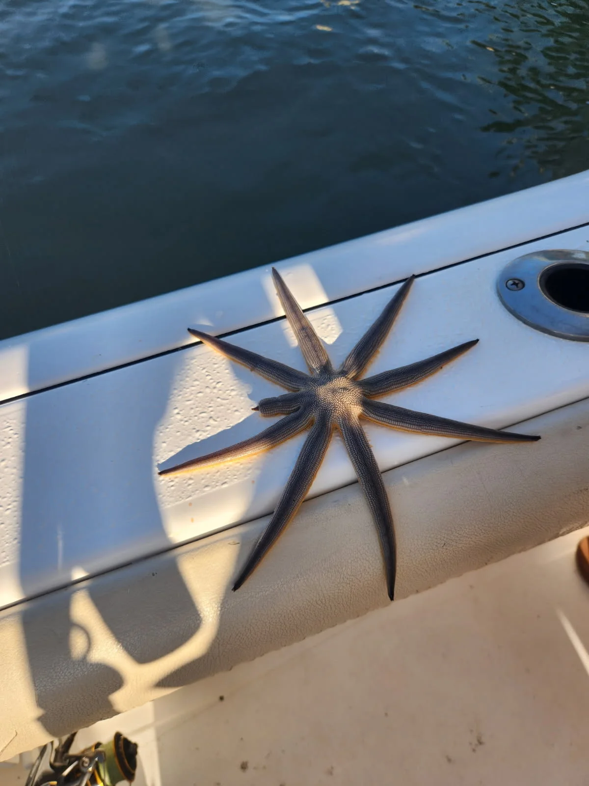 Fishing in St. Augustine, Florida