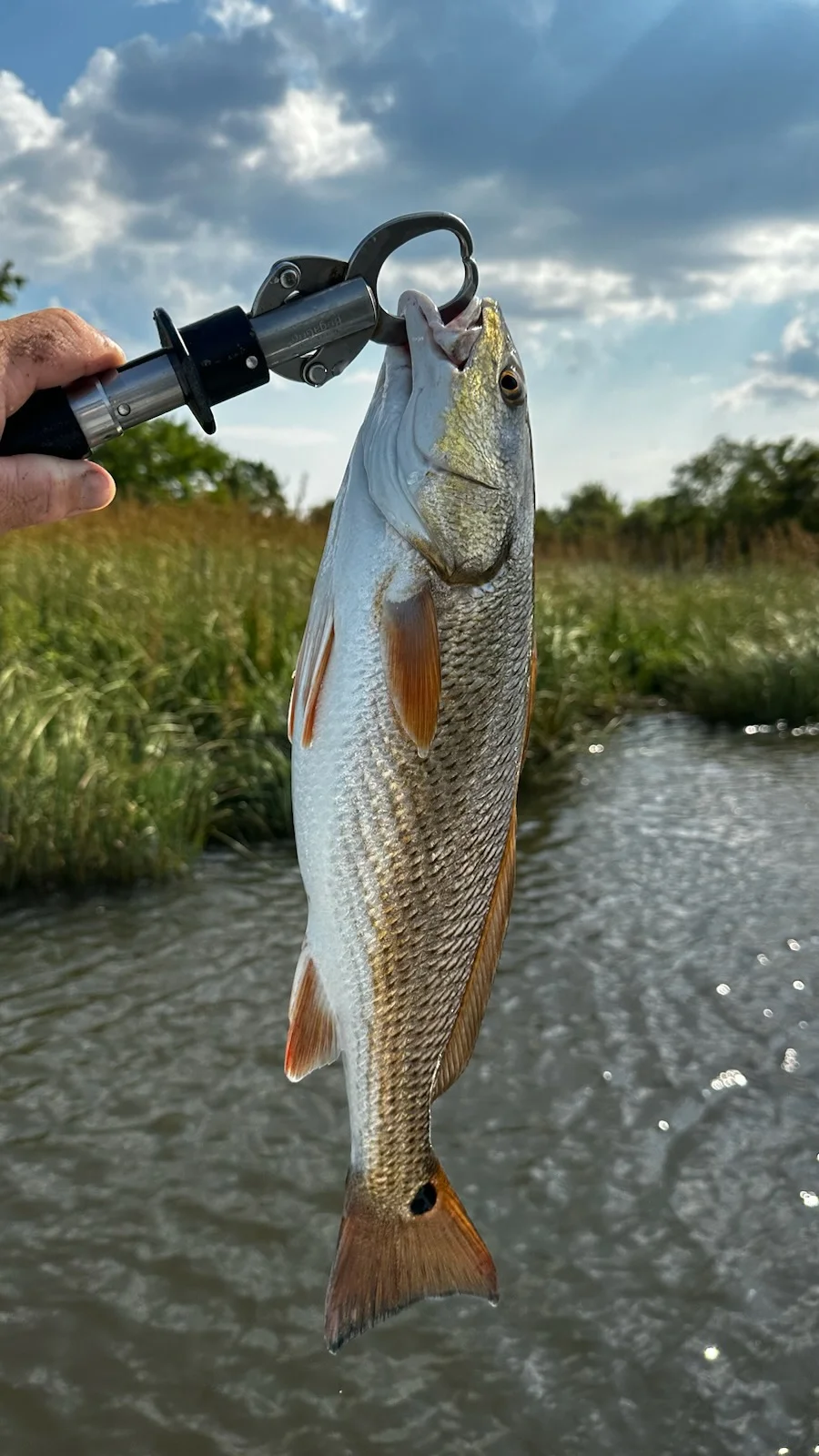 Redfish Fishing in Santa Rosa Beach, Florida