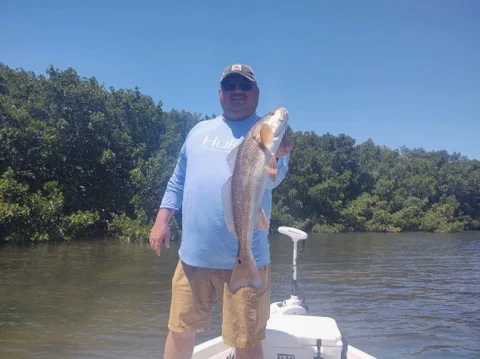 Redfish Fishing in Clearwater, Florida
