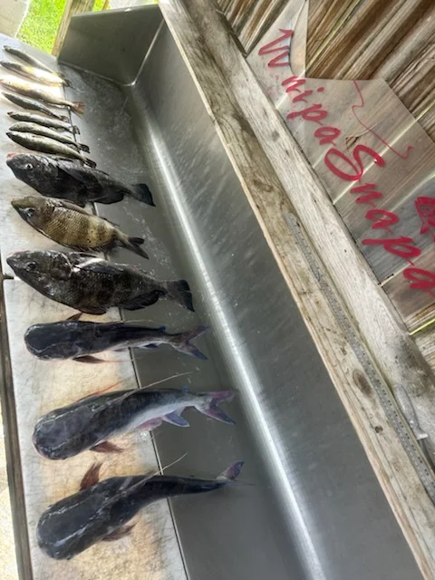 Fishing in D'Iberville, Mississippi