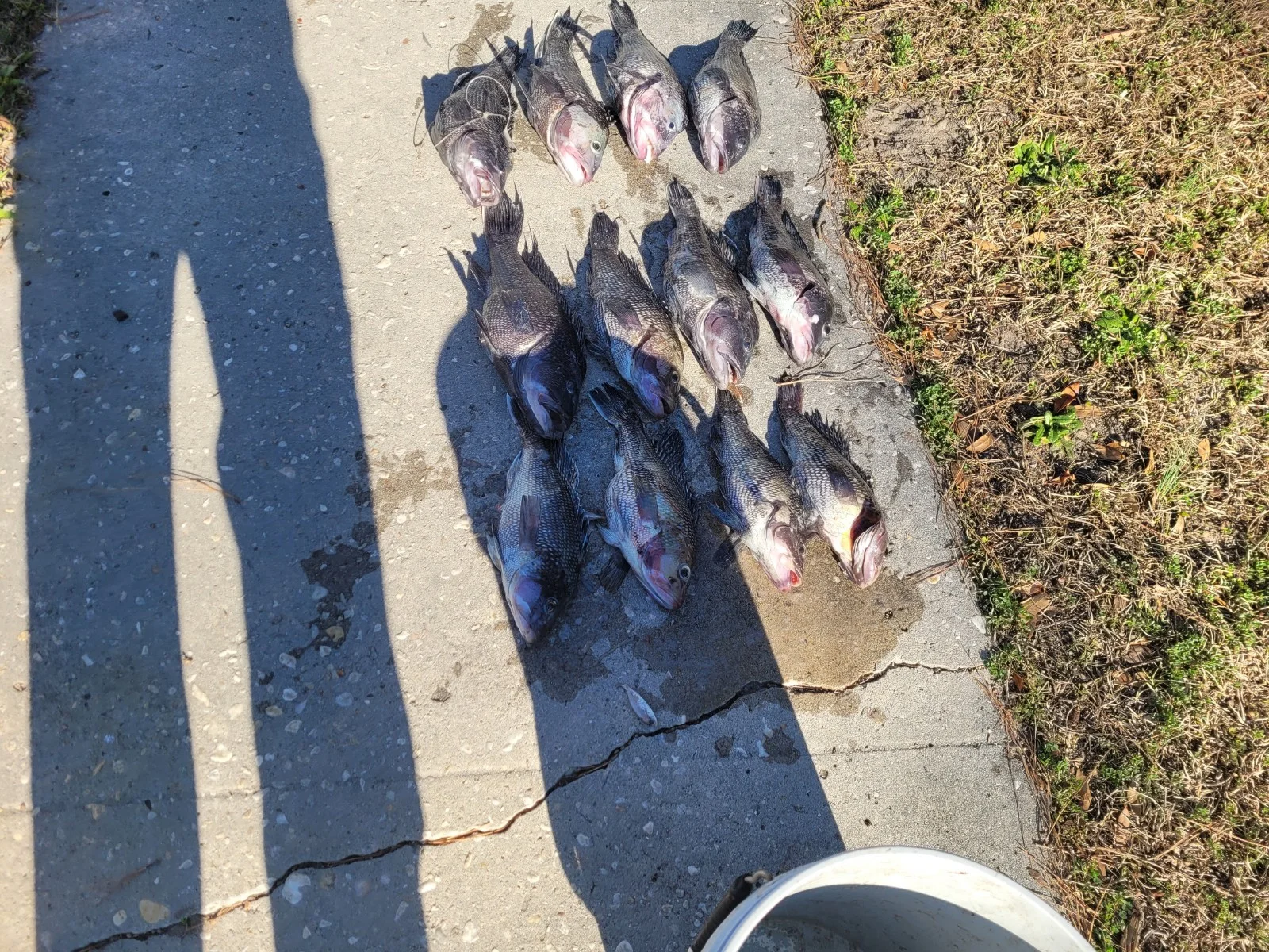 Fishing in Wilmington, North Carolina