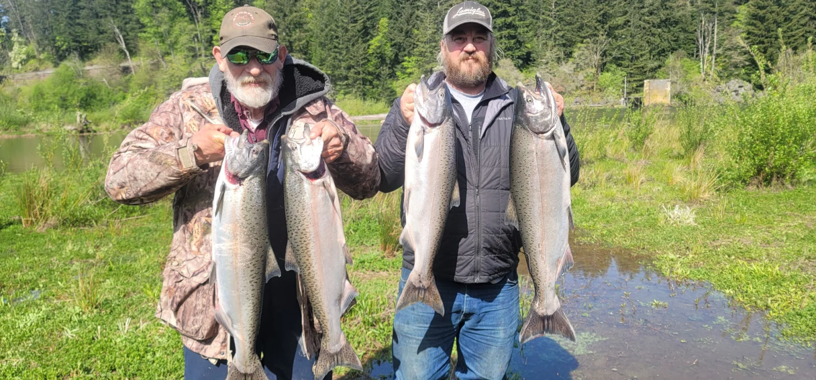 Steelhead Fishing in Montesano, Washington