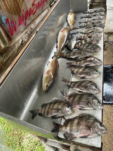 Fishing in D'Iberville, Mississippi