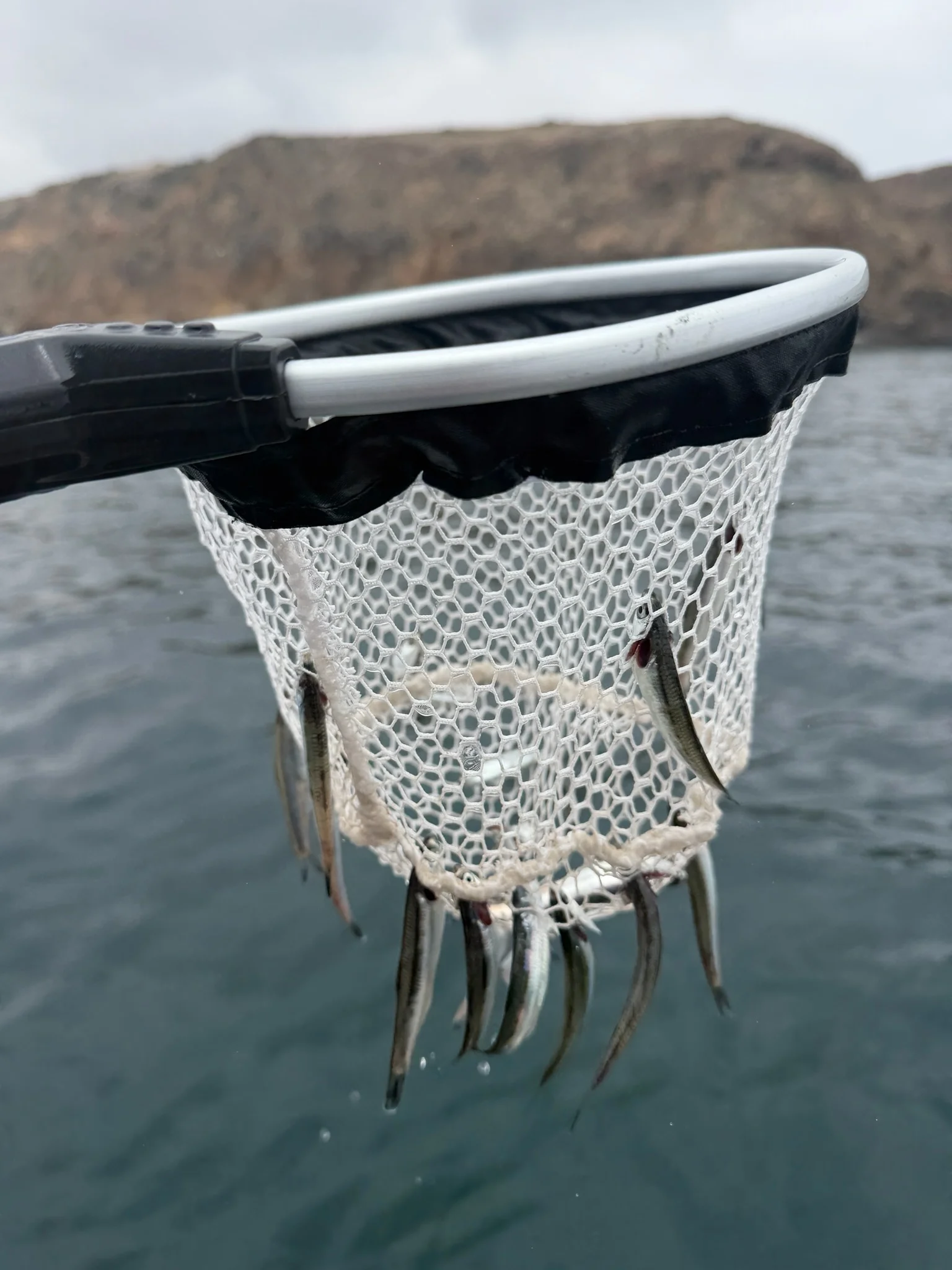 Fishing in Ventura, California