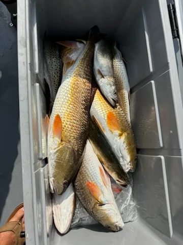 Fishing in Port Aransas, Texas