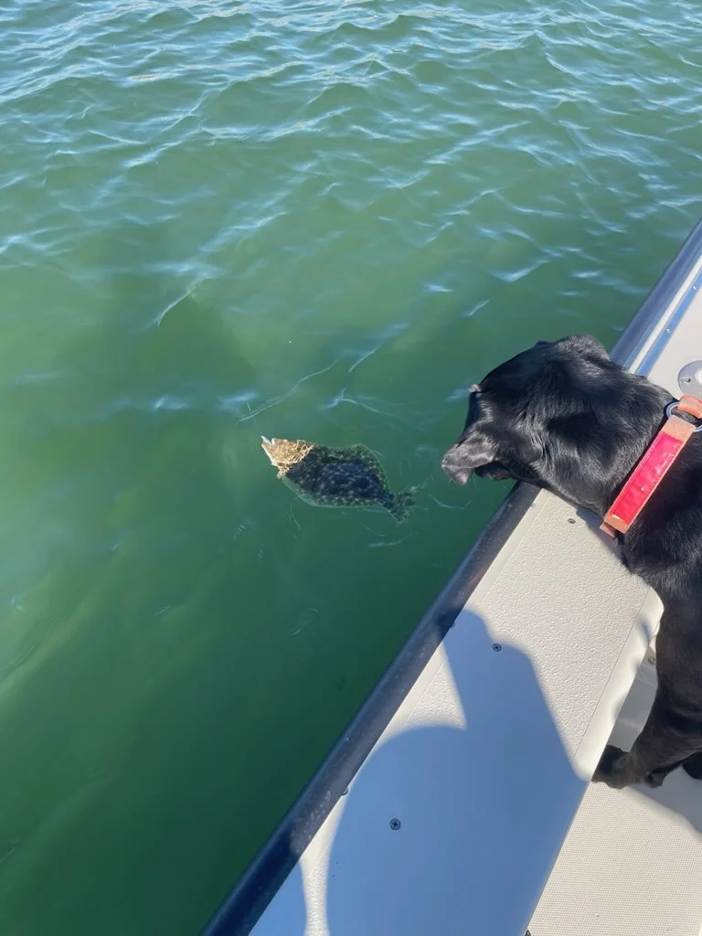 Fishing in Galveston, Texas