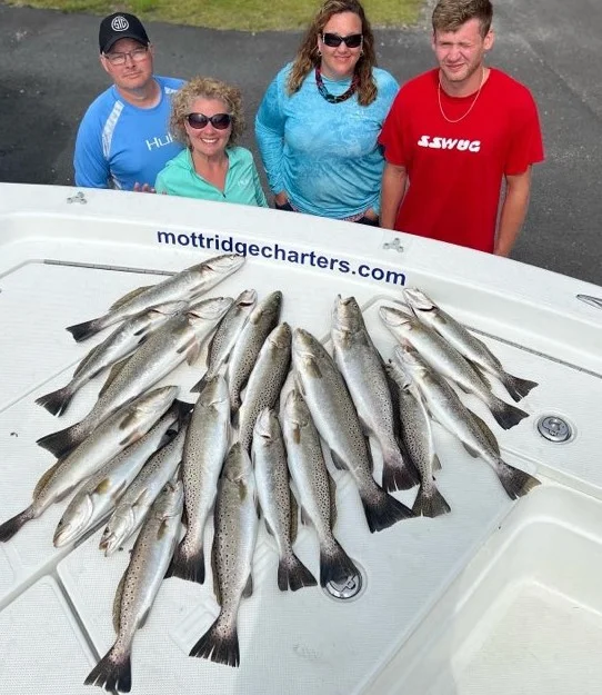 Speckled Trout / Spotted Seatrout fishing in Manteo, North Carolina