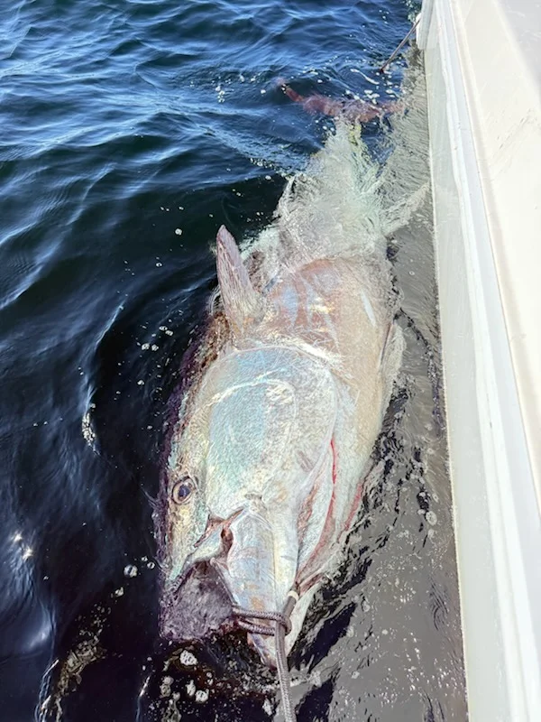 Fishing in Dennis, Massachusetts