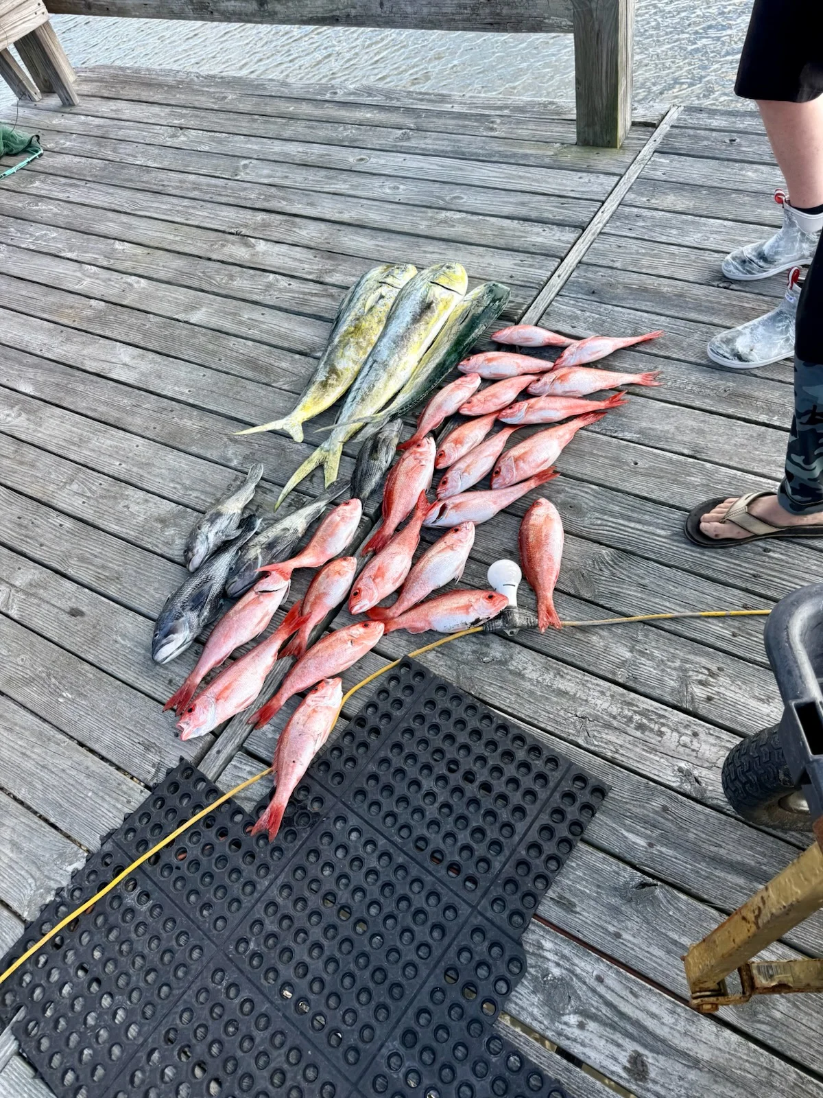 Fishing in Johns Island, South Carolina