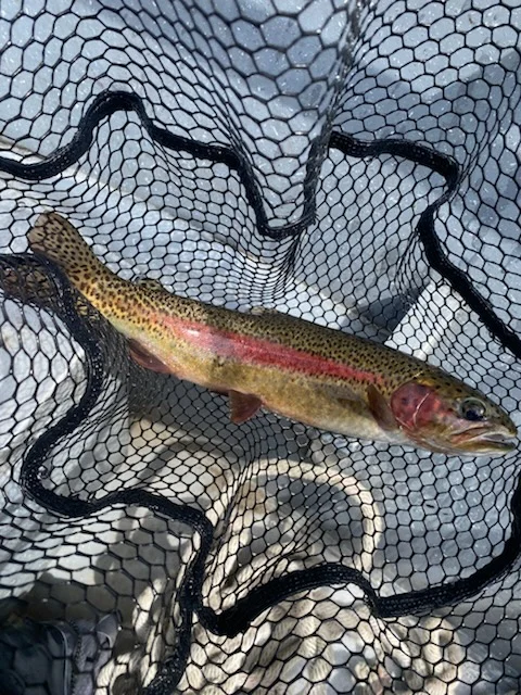 Fishing in Florence, Oregon