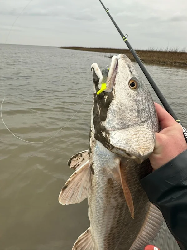 Fishing in Matagorda, Texas