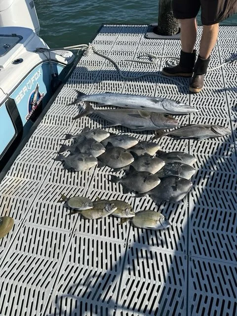 Fishing in Morehead City, North Carolina