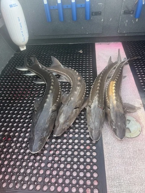 Fishing in Portland, Oregon