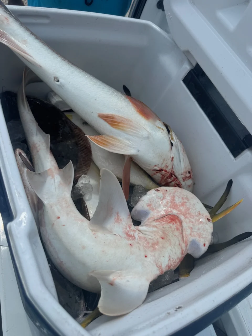 Fishing in Jacksonville, Florida