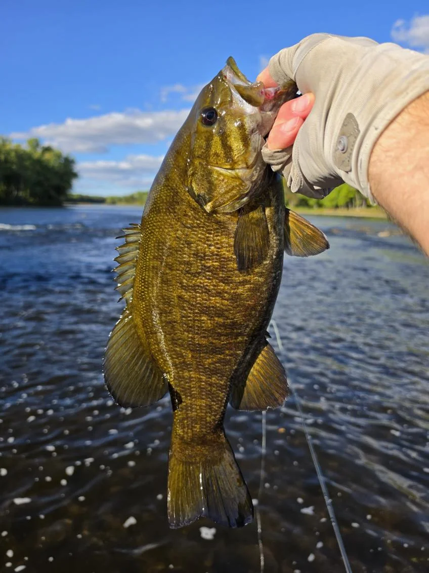 Fishing in Brainerd, Minnesota