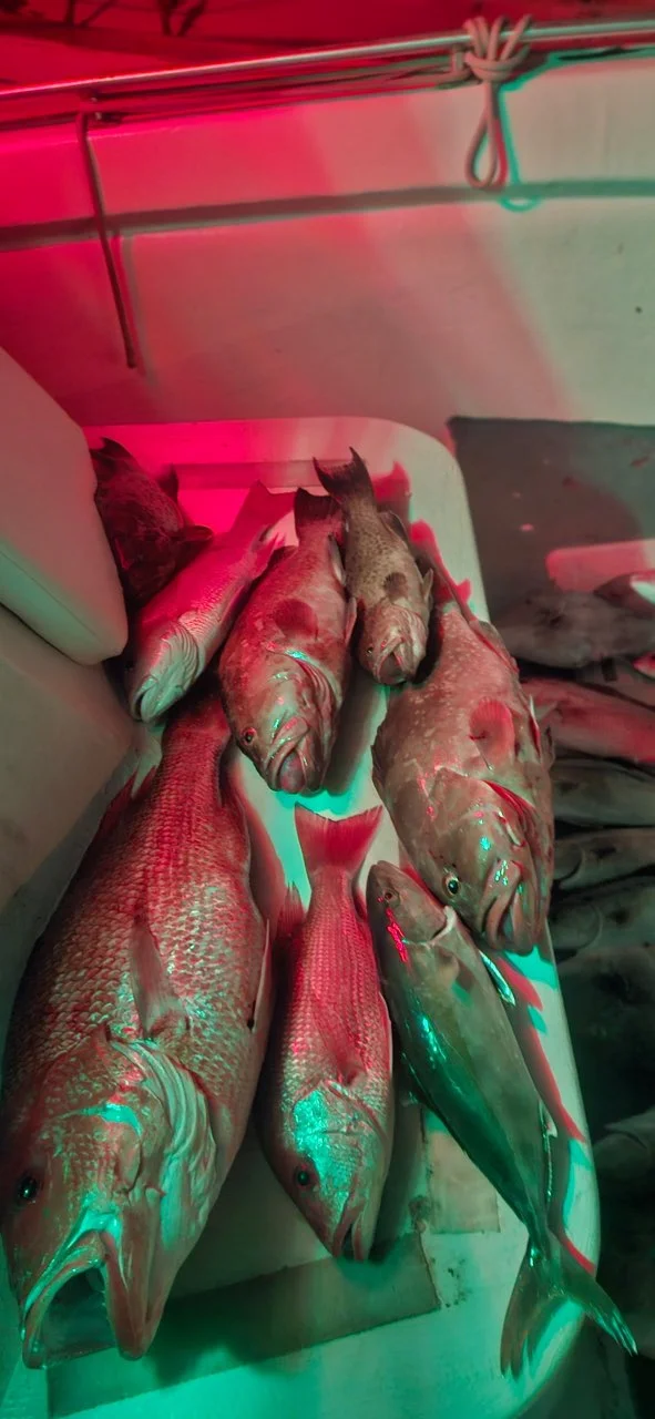 Fishing in Panama City, Florida