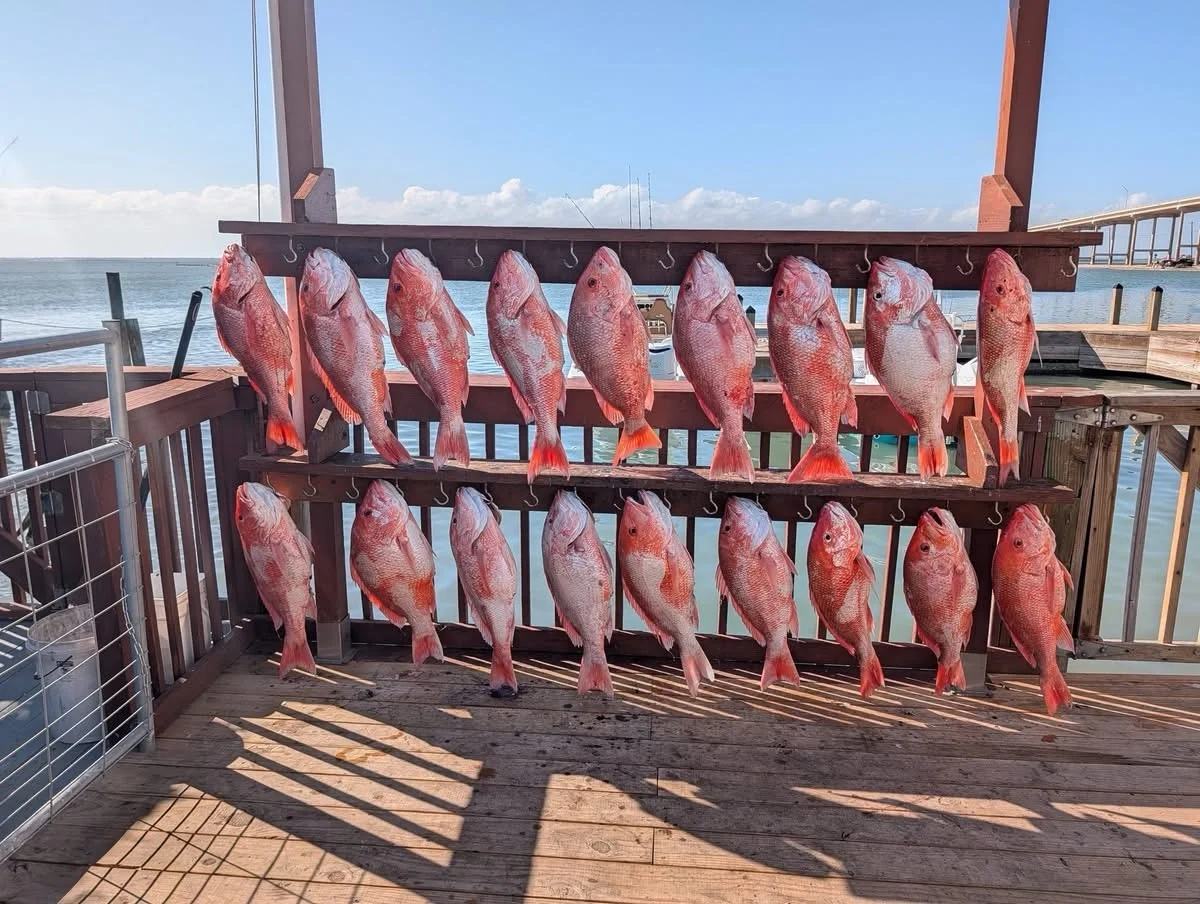 Fishing in Corpus Christi, Texas