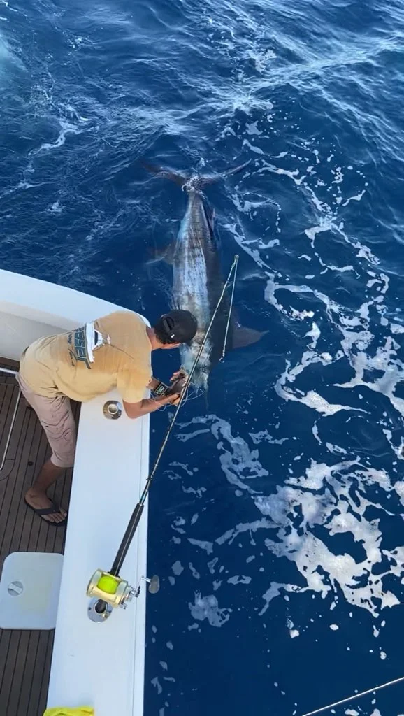 Fishing in San Juan, Puerto Rico