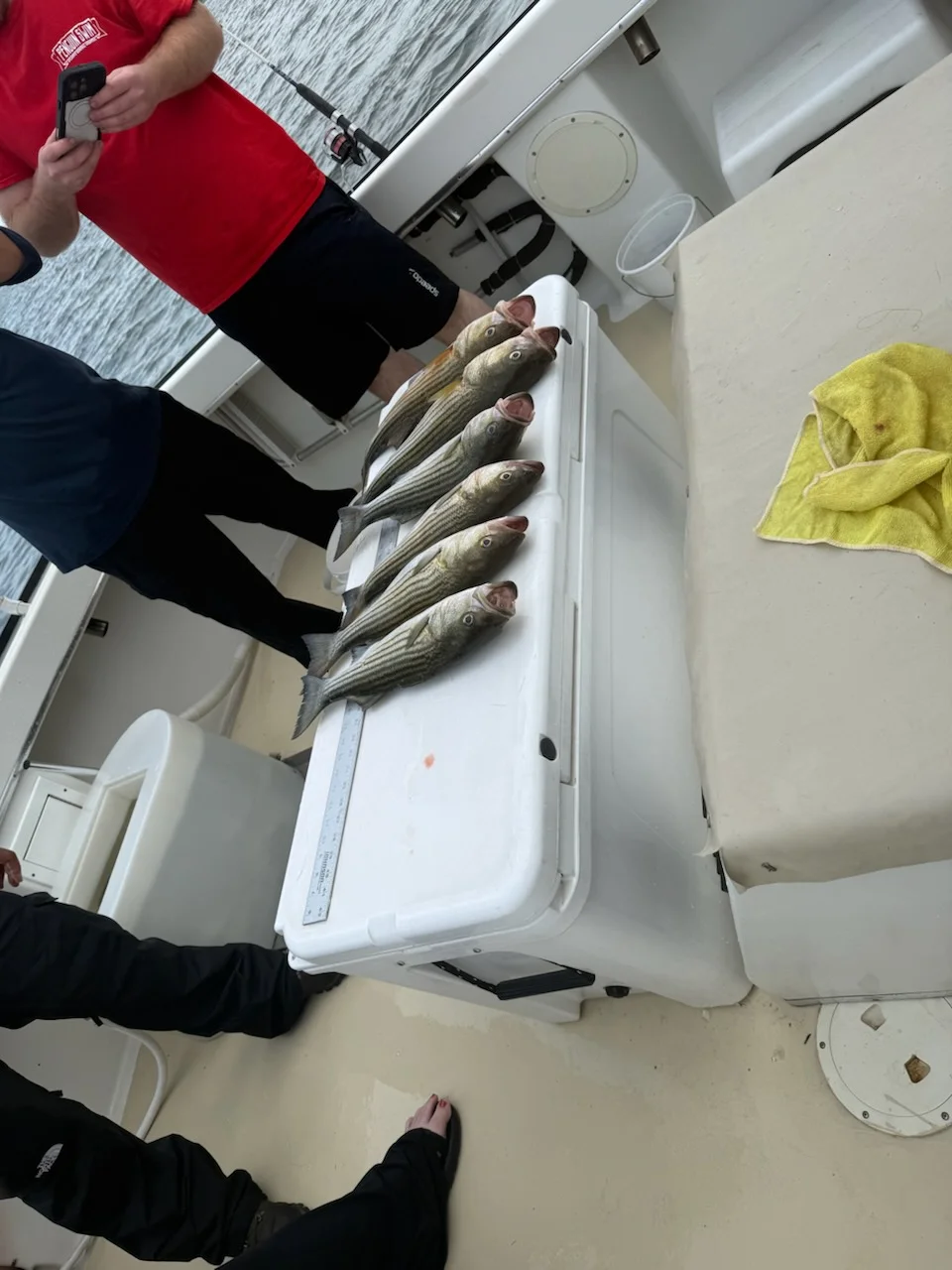 Fishing in Stevensville, Maryland