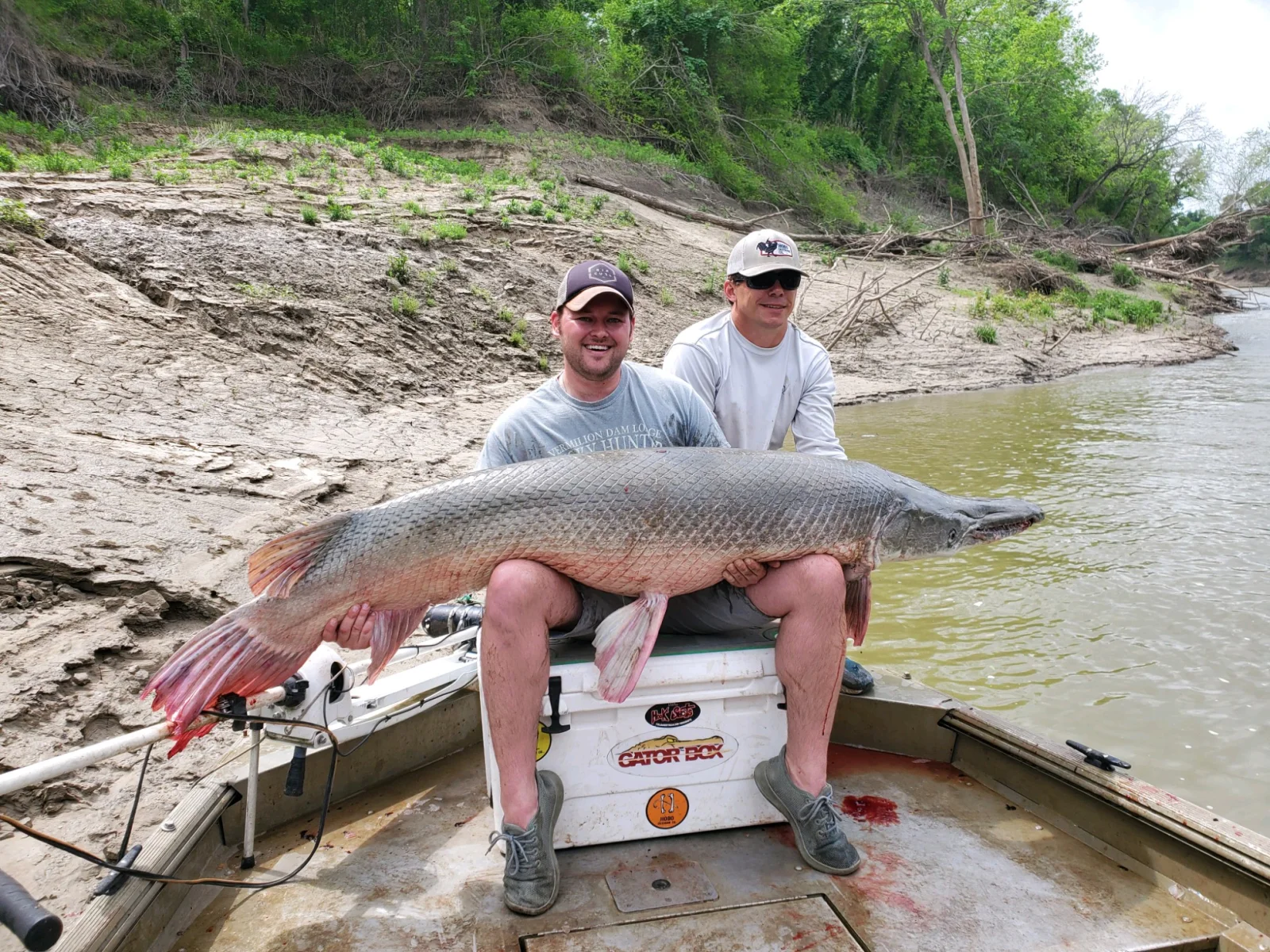 Alligator Gar fishing in Corsicana, Texas