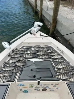 Fishing in Sarasota, Florida