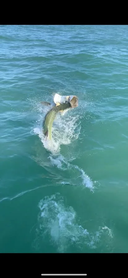 Fishing in New Smyrna Beach, Florida