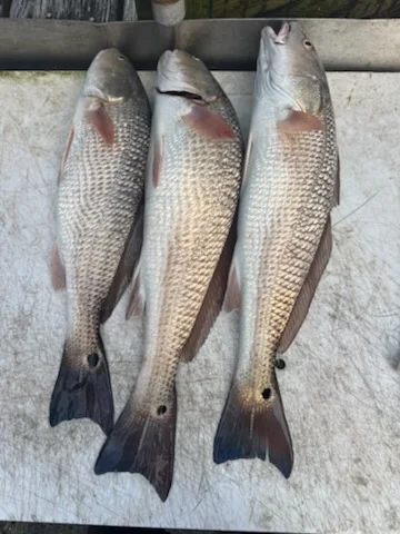 Fishing in St. Augustine, Florida