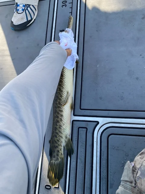 Fishing in Pembroke Pines, Florida