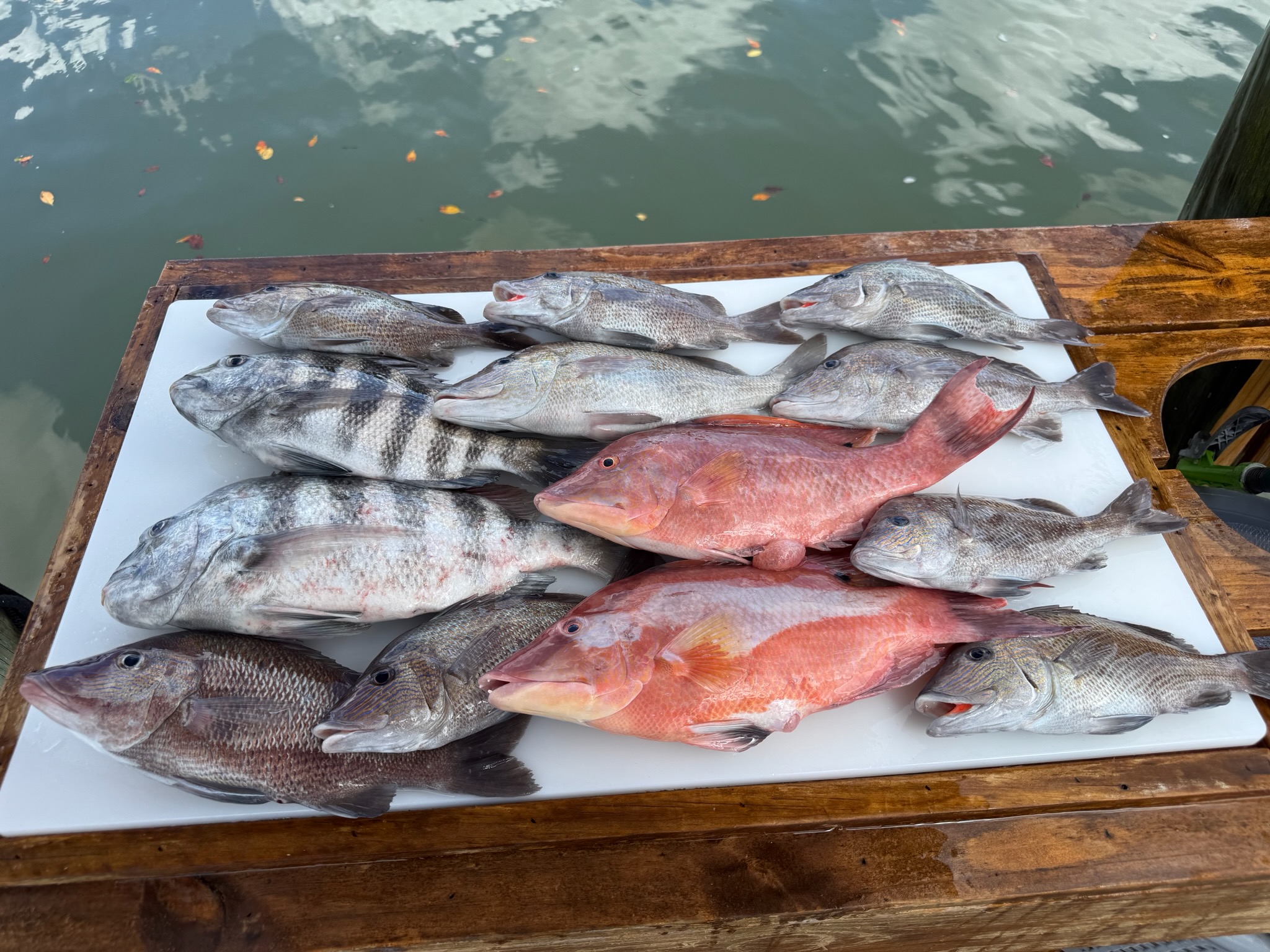 Fishing in St. Petersburg, Florida