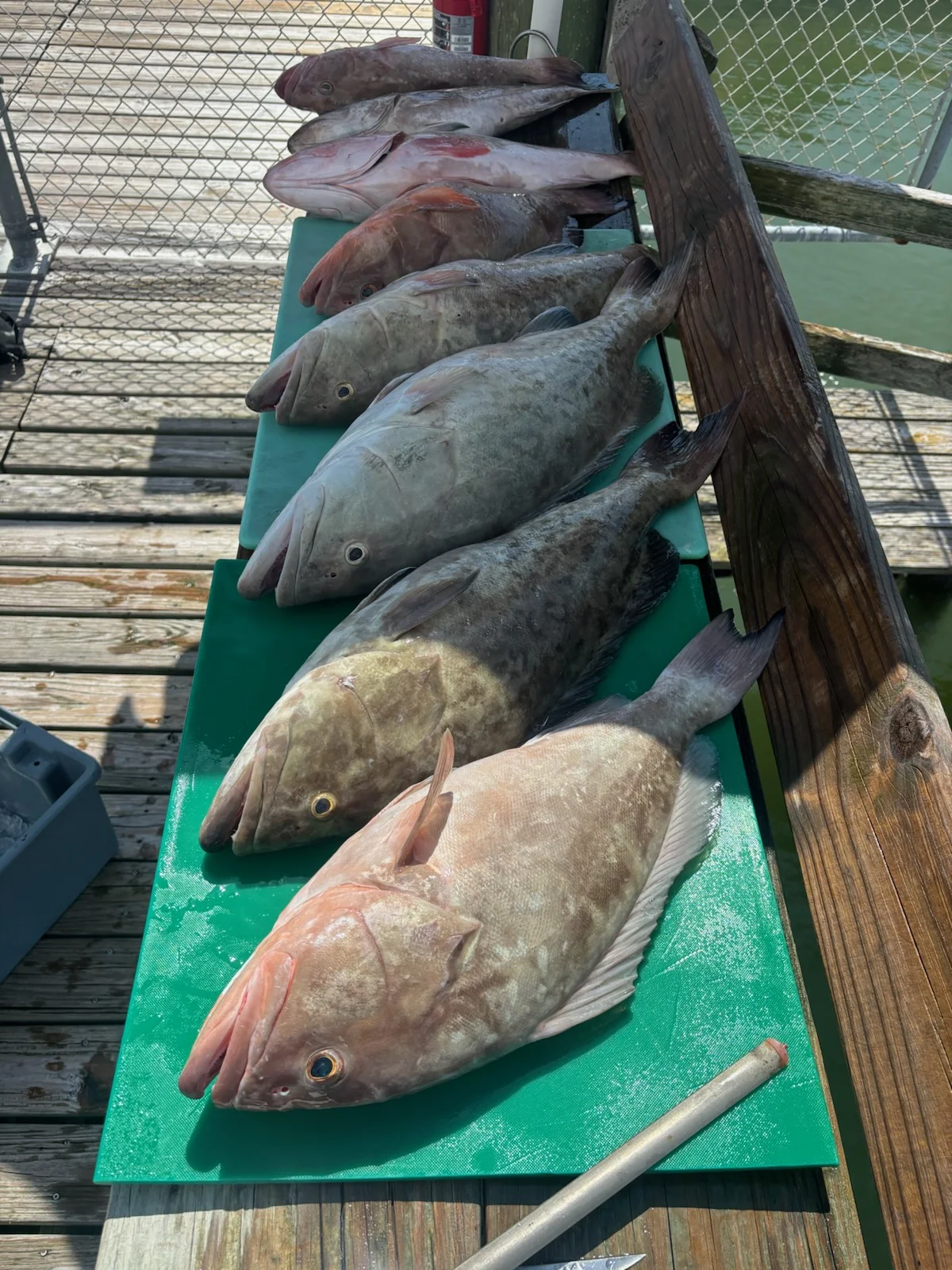 Fishing in Treasure Island, Florida