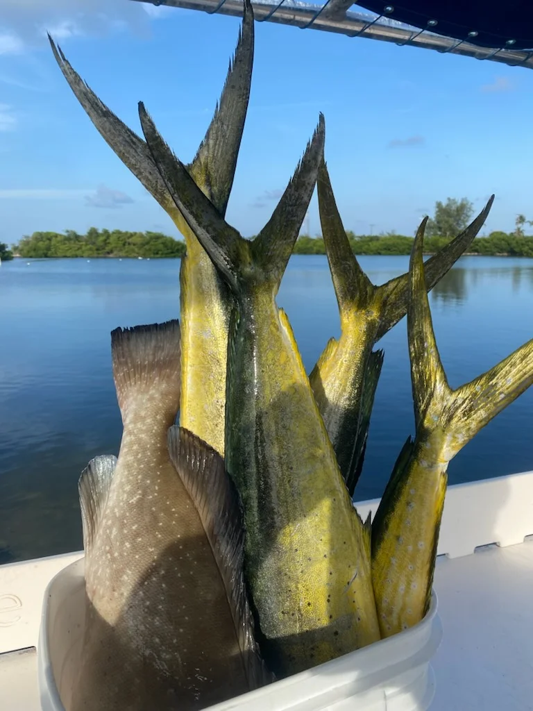 Fishing in Key West, Florida