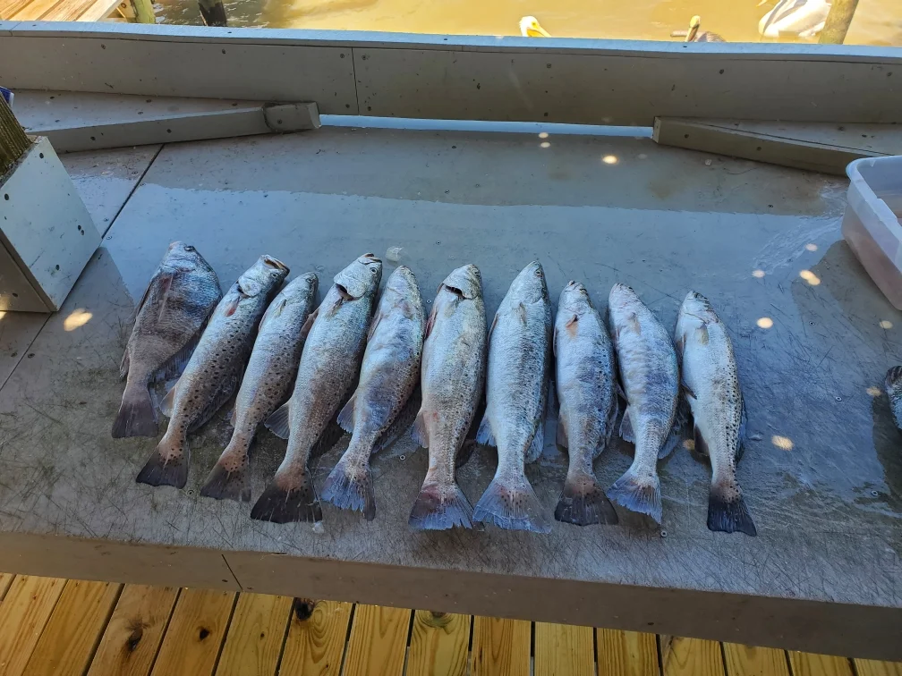 Fishing in Galveston, Texas
