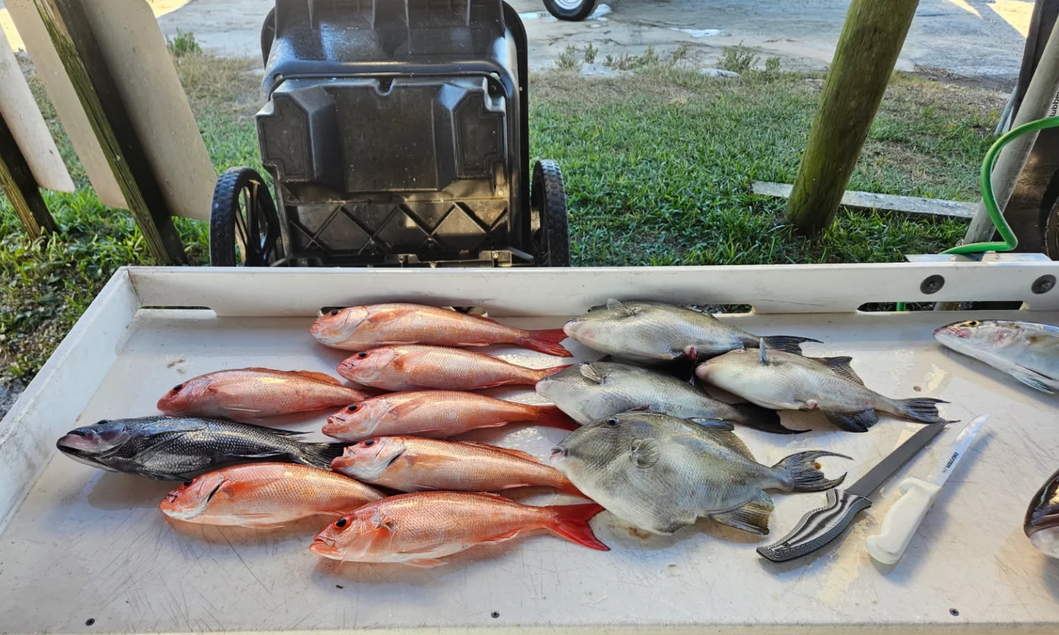 Fishing in Jacksonville, Florida