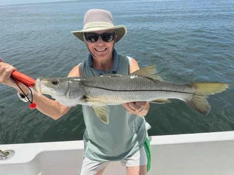 Fishing in St. Petersburg, Florida