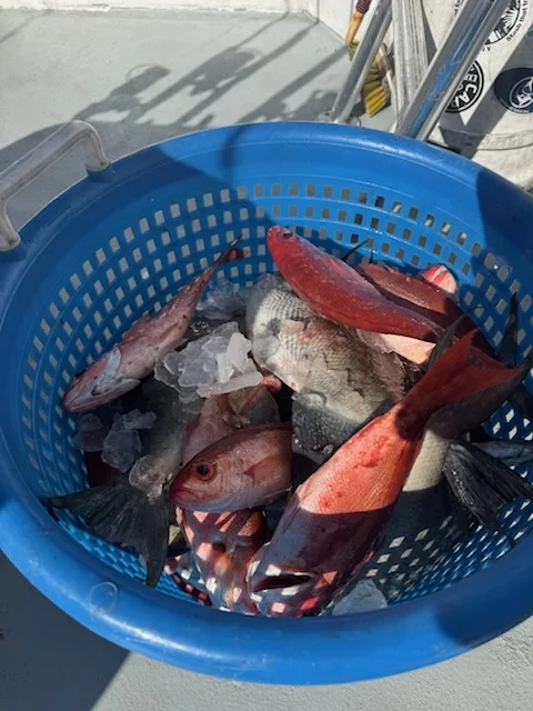 Fishing in Shalimar, Florida
