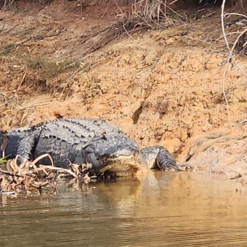 Fishing in Alba, Texas