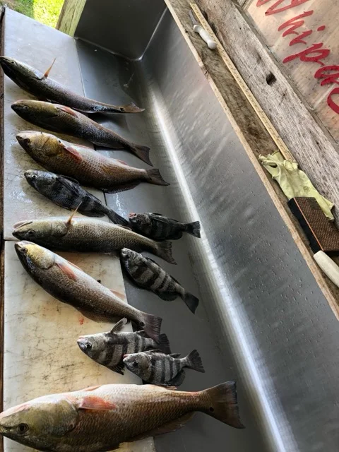 Fishing in D'Iberville, Mississippi