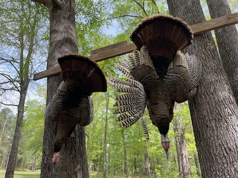 Hunting in Panama City Beach, Florida