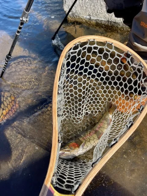 Fishing in Hume, California