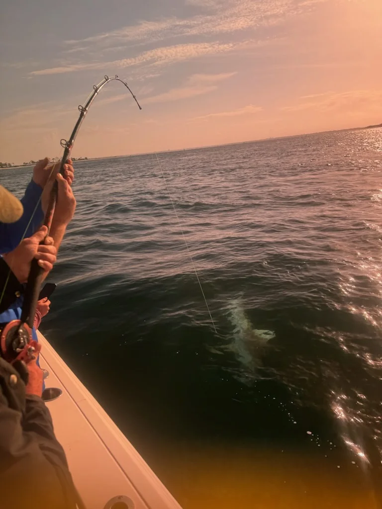 Fishing in Panama City, Florida
