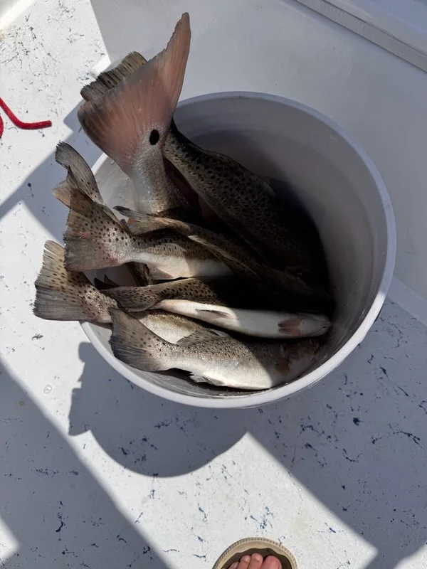 Fishing in Weslaco, Texas
