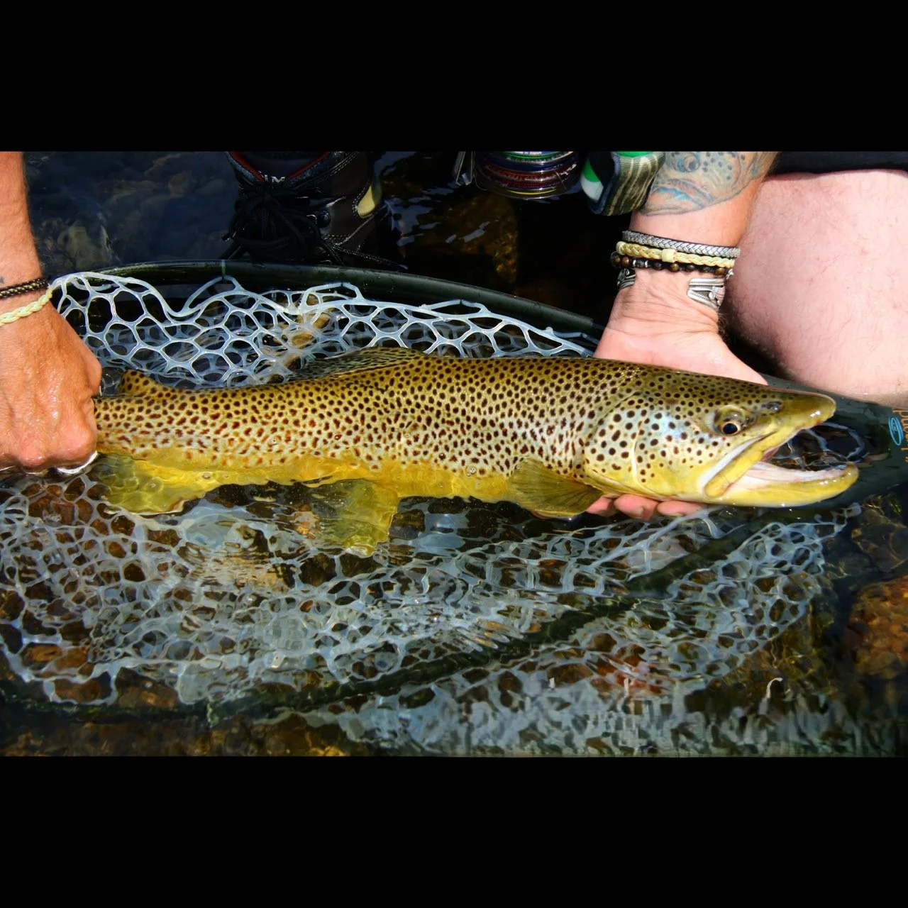 Fishing in Sheridan, Montana