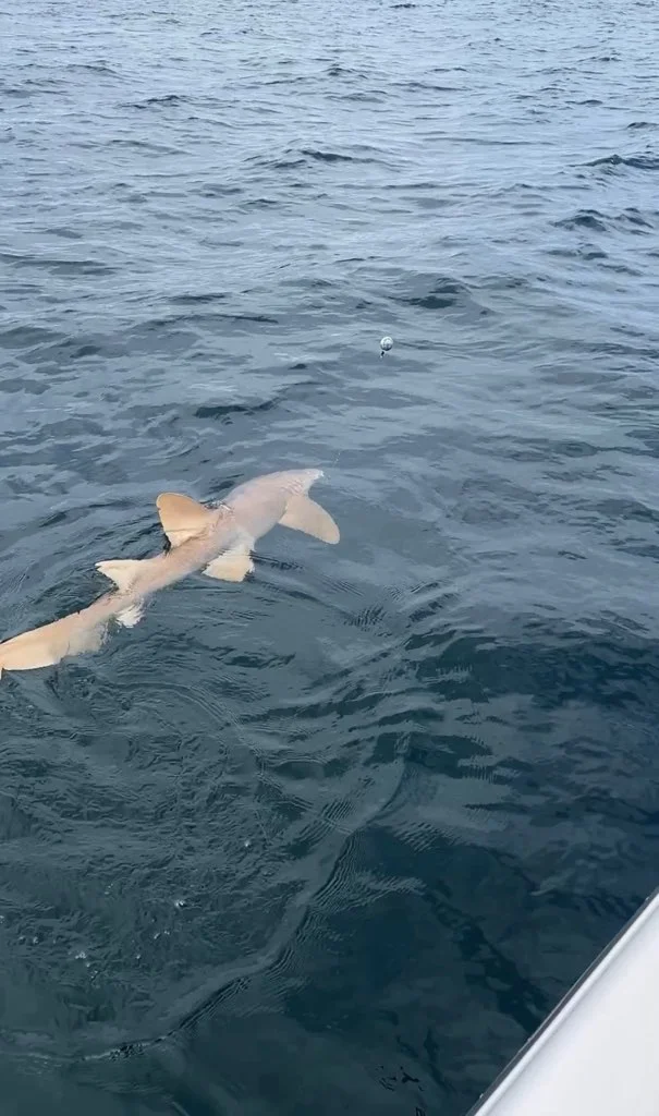 Fishing in Panama City, Florida