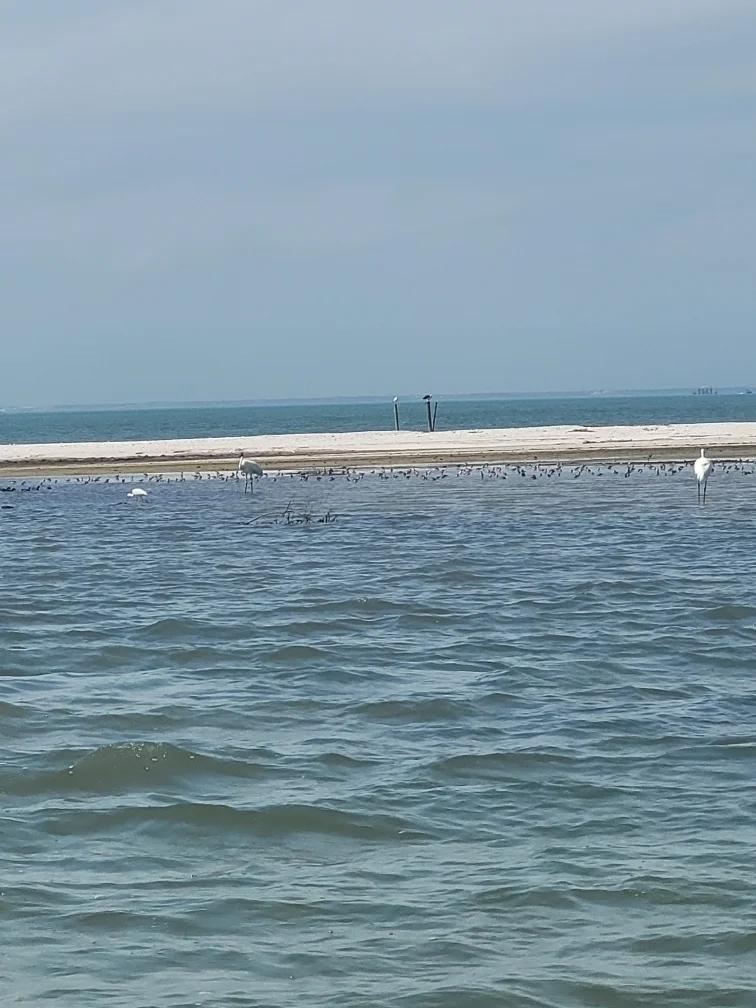 Fishing in Rockport, Texas