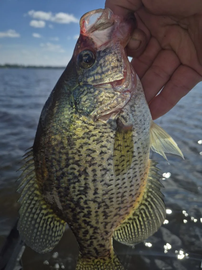 Fishing in Wisconsin Rapids, Wisconsin