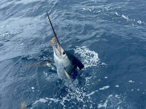 Fishing in Pompano Beach, Florida
