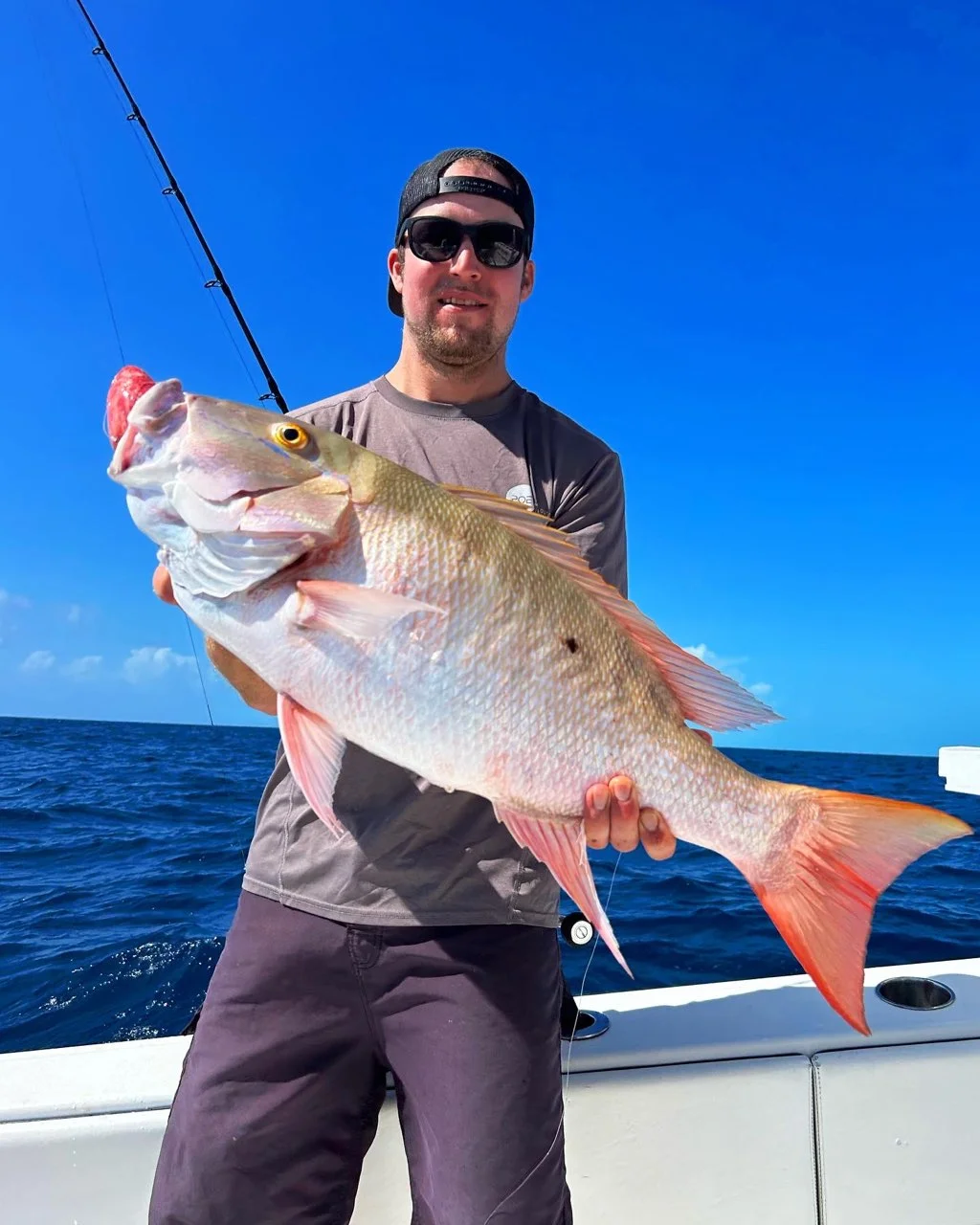 Yellowtail Snapper Fishing in Islamorada, Florida